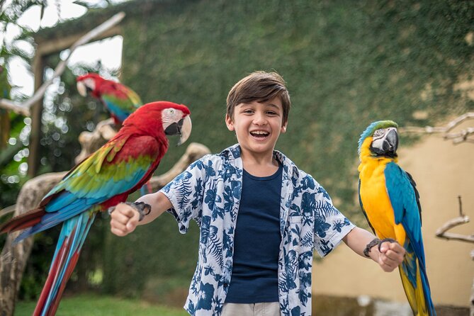 Bali Bird Park Admission Ticket - Walk-in aviaries, gardens, and free-roaming birds