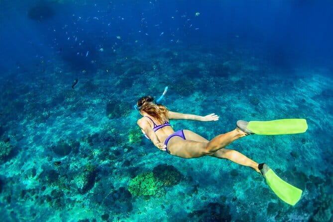 Bali Blue Lagoon Snorkeling and Waterfall Day Tour with Lunch - Lunch that breaks up the busy morning