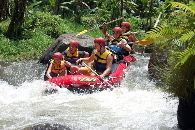 Bali Blue Lagoon Snorkeling and Waterfall Day Tour with Lunch - Why the private vehicle changes the day
