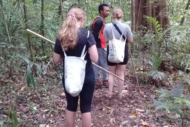 Bali Blue Lagoon Snorkeling and Waterfall Day Tour with Lunch - Who will get the most from this experience?