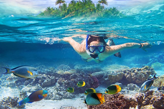 Bali Blue Lagoon Snorkeling Experience - From Ubud to Padangbai in a private car