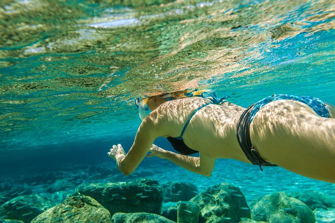 Bali Blue Lagoon Snorkeling Experience - What you may see beneath the surface