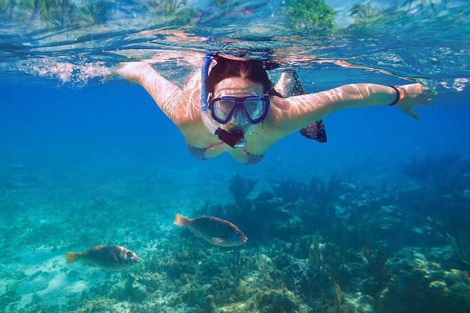 Bali Blue Lagoon Snorkeling Experience - Where the service is strongest, and where it needs patience