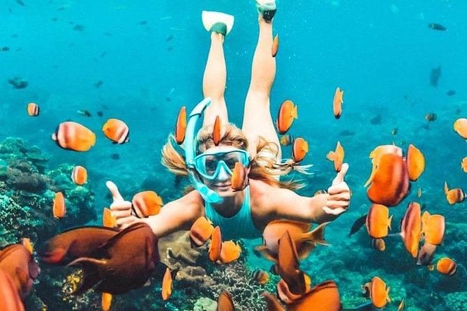 Bali Blue Lagoon Snorkeling - Lunch and Transport All Inclusive - Blue Lagoon and Tanjung Jepun: the main reason to go