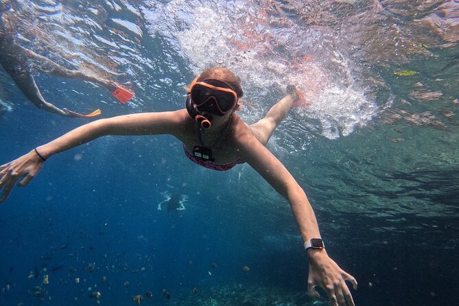 Bali Blue Lagoon Snorkeling - Lunch and Transport All Inclusive - The drivers can shape the day