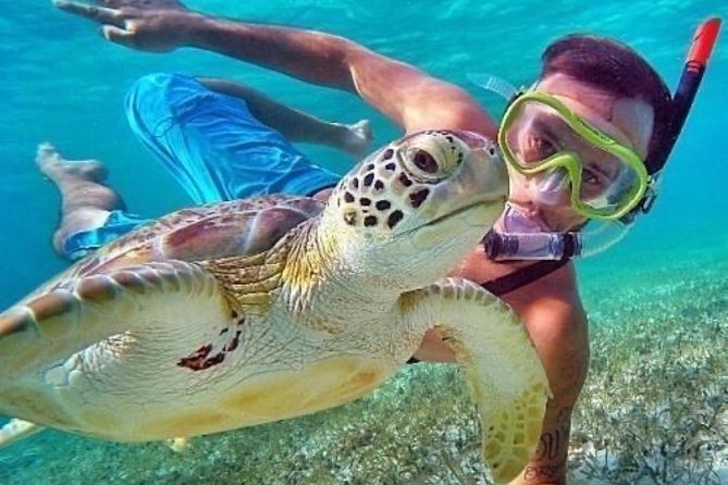 Bali Blue Lagoon Snorkeling - Lunch and Transport All Inclusive - Is $39 good value?