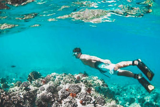 Bali Blue Lagoon Snorkeling - Lunch and Transport All Inclusive - Who will enjoy this day most?