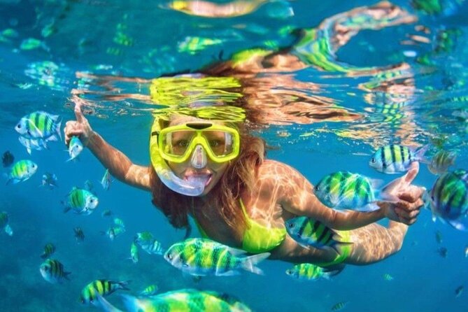 Bali Blue Lagoon Snorkeling - Lunch and Transport All Inclusive - What the private setup really gives you
