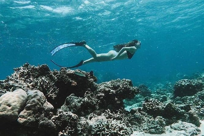 Bali Blue Lagoon Snorkeling Tour All Inclusive - The optional Ubud waterfall upgrade