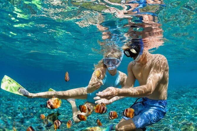 Bali Blue Lagoon Snorkeling Tour All Inclusive - Who will get the most from this tour