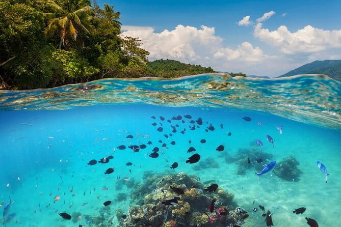 Bali Blue Lagoon Snorkeling Tour All Inclusive - Boarding the traditional boat in Padang Bai