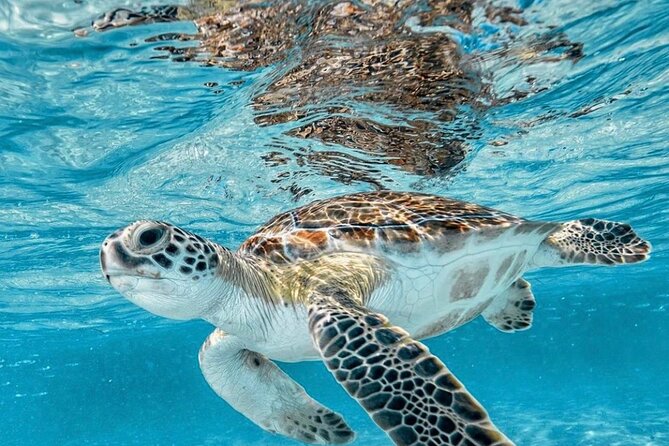 Bali Blue Lagoon Snorkeling with Optional Tour & Activities - Stop 2: Bias Tugel Beach