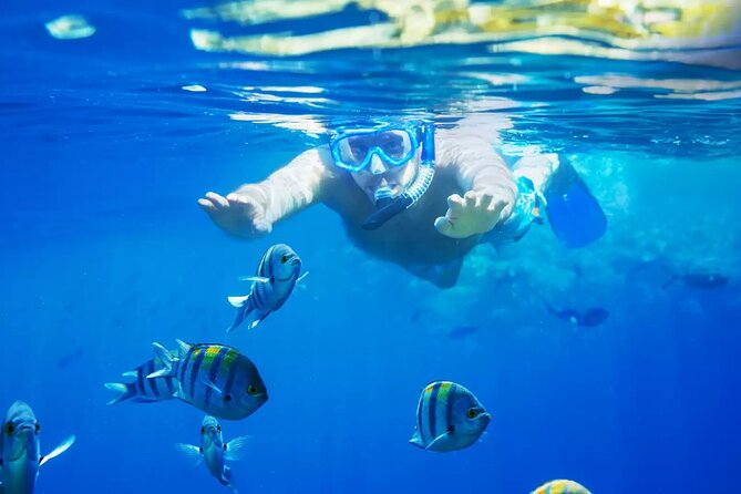 Bali Blue Lagoon Snorkeling with Private Transfer and Lunch - Key Points Before You Book