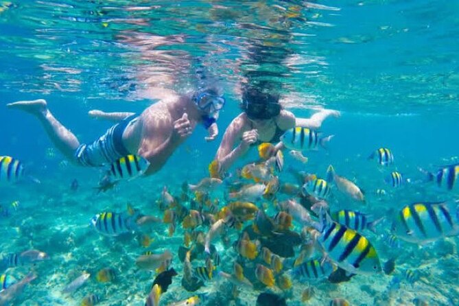 Bali Blue Lagoon Snorkeling with Private Transfer & Lunch - The road from Seminyak to Blue Lagoon