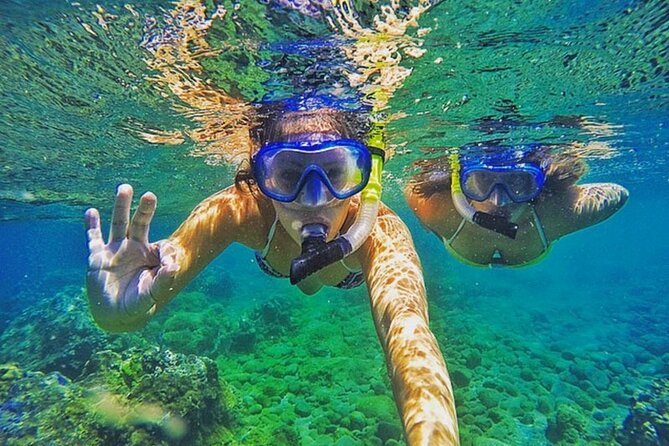 Bali Blue Lagoon Snorkeling with Private Transfer & Lunch - What families and beginners should expect