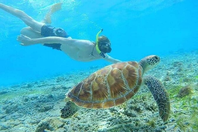 Bali Blue Lagoon Snorkeling with Private Transfer & Lunch - Guides, drivers, and the quality of service