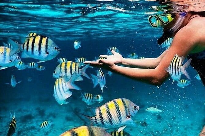 Bali Blue Lagoon Snorkeling with Waterfalls Tour - all included - Blue Lagoon and Tanjung Jepun make the sea portion the star