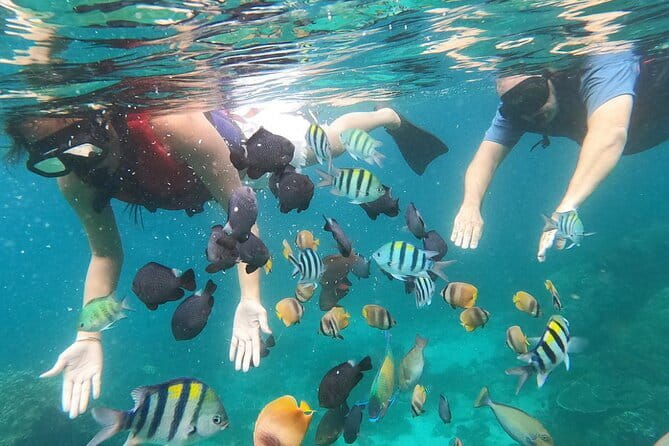 Bali Blue Lagoon Snorkeling with Waterfalls Tour - all included - Who will enjoy this Bali combination tour?