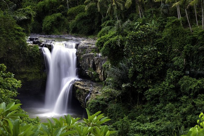 Bali Breathtaking Waterfall Tour (Private & All-Inclusive) - What the private guide adds