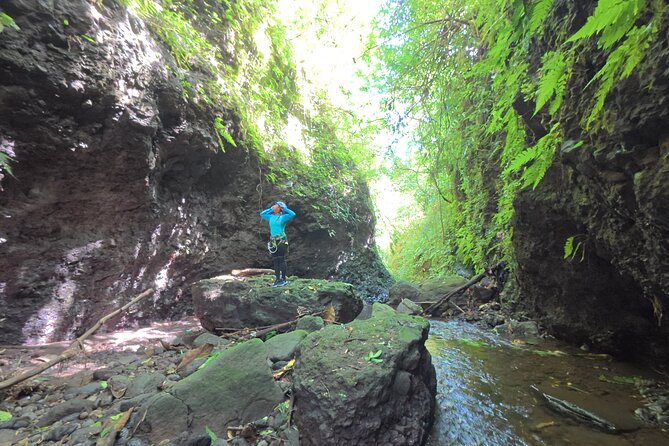 Bali Canyoning Trip – Explore Hidden Waterfalls & Gorges - What the North Bali canyon route feels like