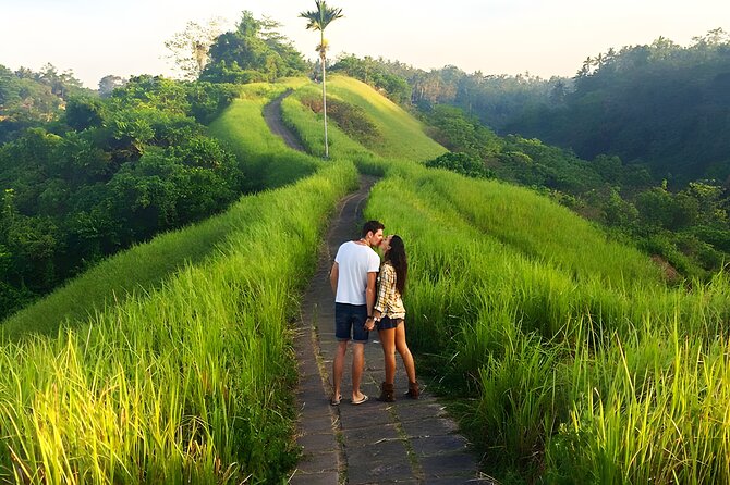 Bali Car-Charter: Go as your own trip to Ubud - Why a private car works well for Ubud