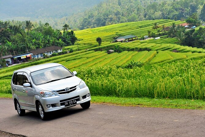 Bali Car Hire with Driver - Comfort, costs, and what is not included