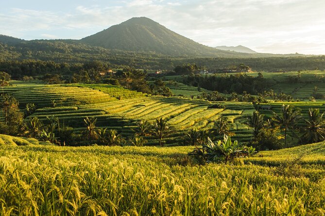 Bali Charm: Full-Day Bedugul and Tanah Lot Tour (UNESCO) - All Inclusive Tickets - Jatiluwih: the day’s strongest scenic stop