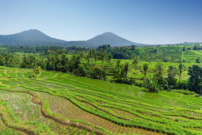 Bali Charm: Full-Day Bedugul and Tanah Lot Tour (UNESCO) - All Inclusive Tickets - Why the private guide matters on this route