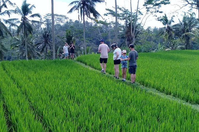 Bali Countryside Cycling Adventure - Why this cycling day shows you more than Ubud