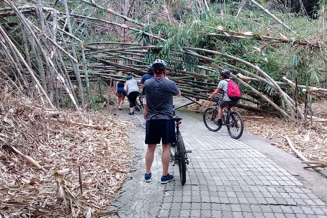 Bali Countryside Cycling Adventure - Riding through the 7.5-hectare bamboo forest