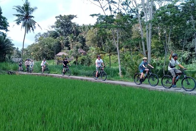Bali Countryside Cycling Adventure - Lunch, the support crew, and the end of the day