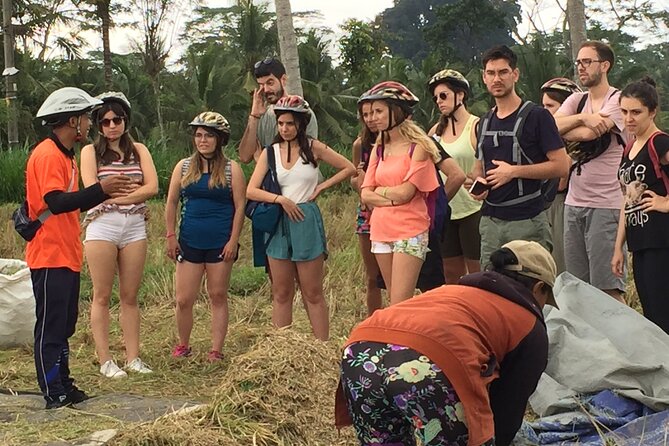 Bali Countryside Cycling Tour by Halo Bike Tour - Lunch at a traditional Balinese home