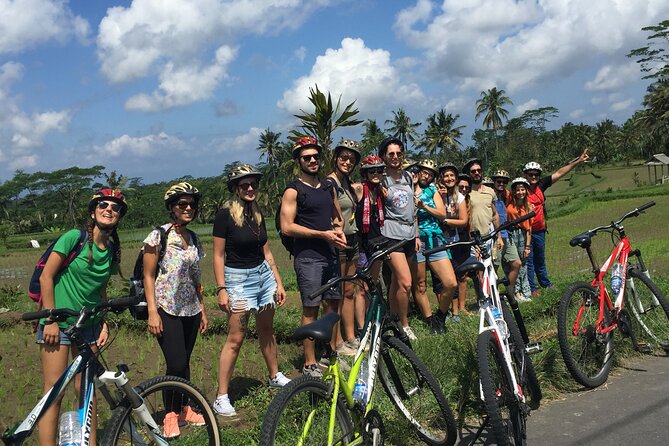 Bali Countryside Cycling Tour by Halo Bike Tour - Timing, group size, and the family angle