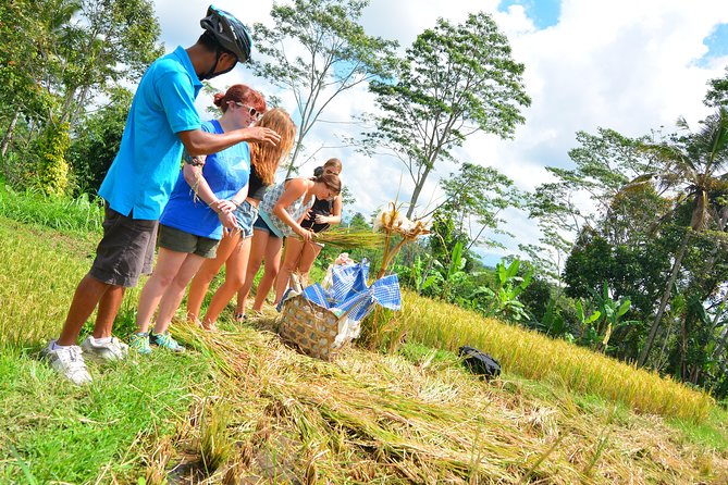 Bali Countryside Cycling Tours - Lunch at the family compound