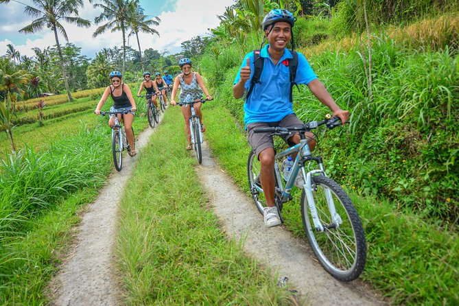 Bali Countryside Cycling Tours - Penglipuran Village and its traditional layout