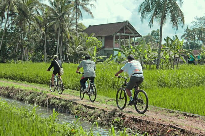 Bali Countryside Eco Cycling Tour include Lunch - Kemenuh and the first two hours on the bike