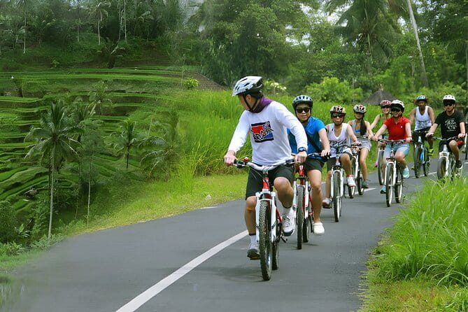 Bali Countryside Eco Cycling Tour include Lunch - What the $78.21 price covers