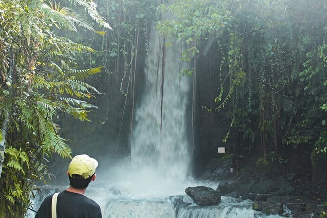 Bali Countryside Eco Cycling Tour include Lunch - Rice fields, village life, and a slower view of Bali