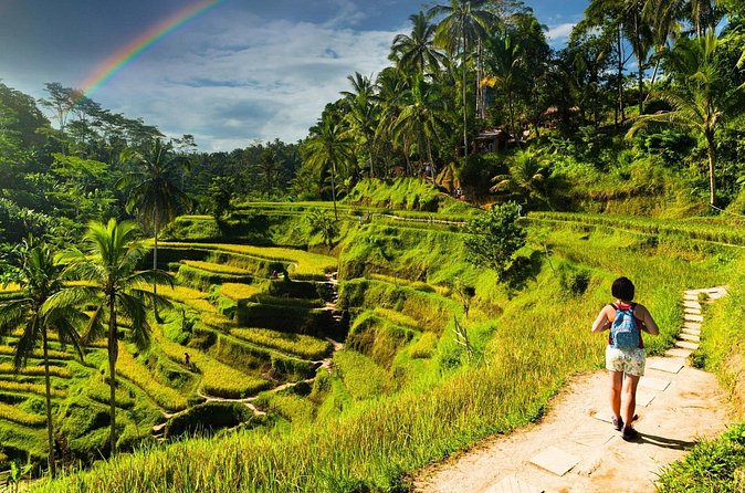 Bali Cultural Experience - Snacks, lunch, and practical planning