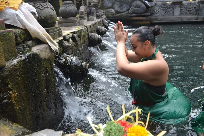 Bali Culture And Spring Temple Private Guided Tour - A full Bali day, from Barong mythology to a sacred spring