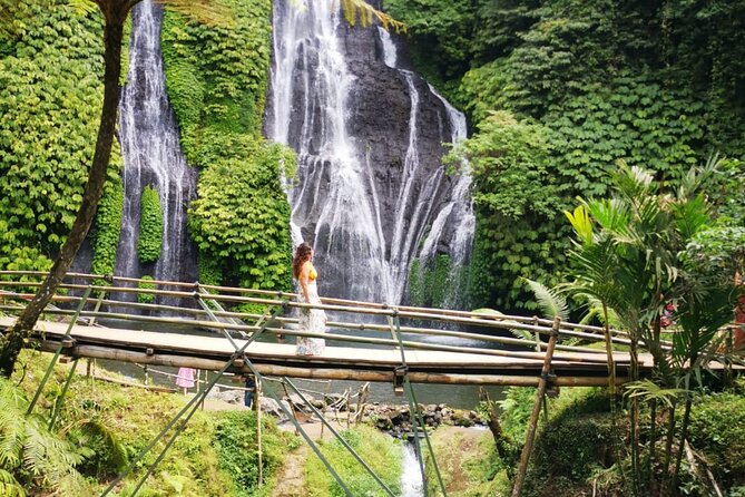 Bali-Customized Private Day Tour - A private Bali day built around your choices