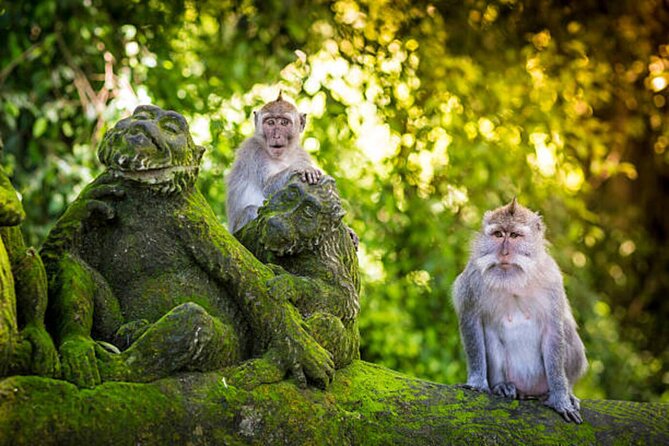 Bali Customized Private Tour - Planning the route from Seminyak