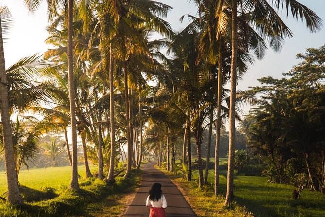 Bali Customized Tour Private Car and Driver - The long northern route to Ulun Danu Beratan