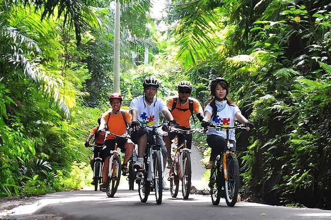 Bali Cycling and Ubud Waterfall Tour - Meeting Balinese village life by bicycle