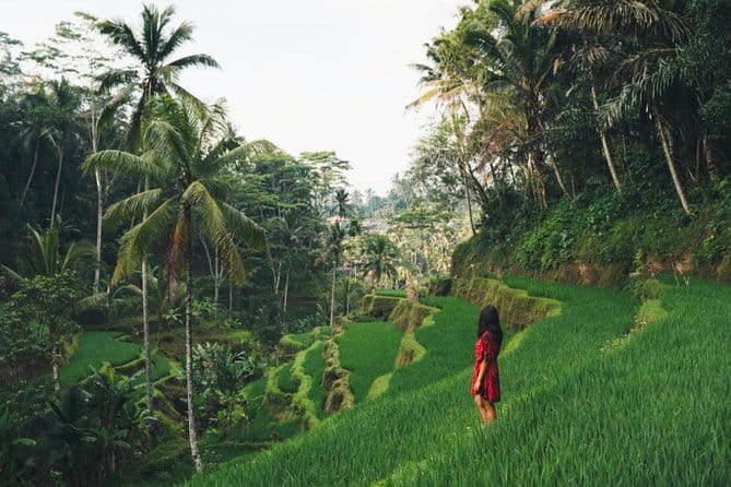 Bali day trip : Batur Sunrise Hike and Hot Spring All inclusive - Private transport and the long road from Kuta