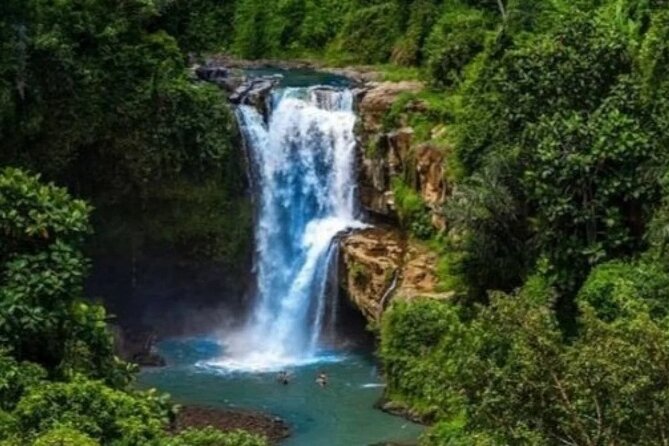 Bali Day Trip to Ubud Highlight Tour and Tanah Lot Temple - What the guides add to the day