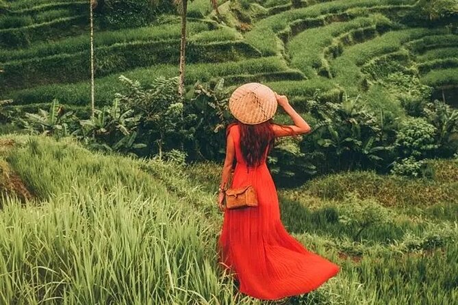 Bali Day Trip to Ubud Highlight Tour and Tanah Lot Temple - The pace, road time, and who should book