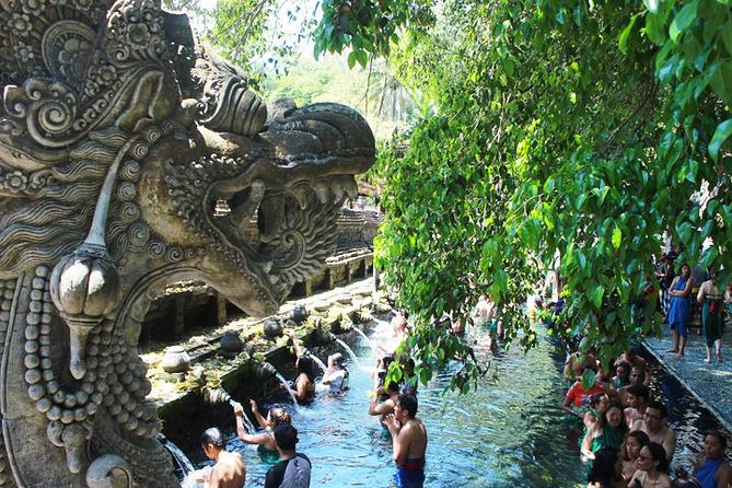 Bali Day Trip: Ubud Temples & Hidden Waterfalls - Tegalalang Rice Terrace and Bali’s farming view