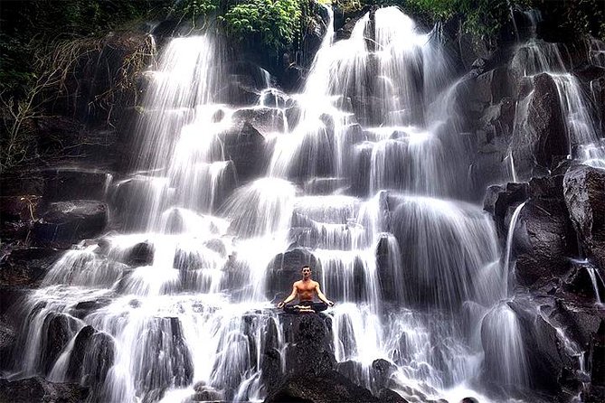 Bali Day Trip: Ubud Temples & Hidden Waterfalls - Is $39 good value?