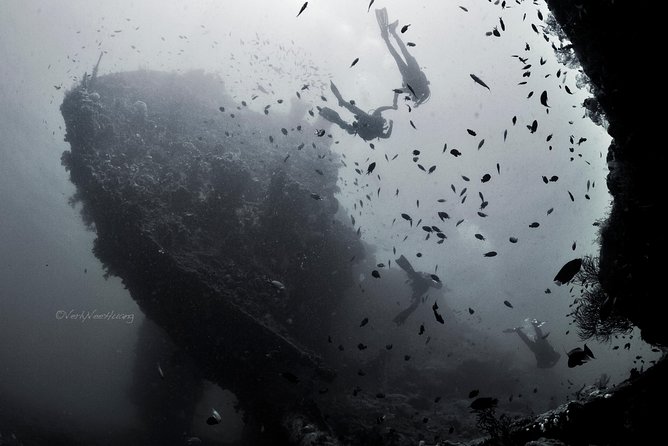 Bali Diving Day Trip-Manta Point/Tulamben Shipwreck-Fun Dive - Why the USAT Liberty makes a strong first wreck